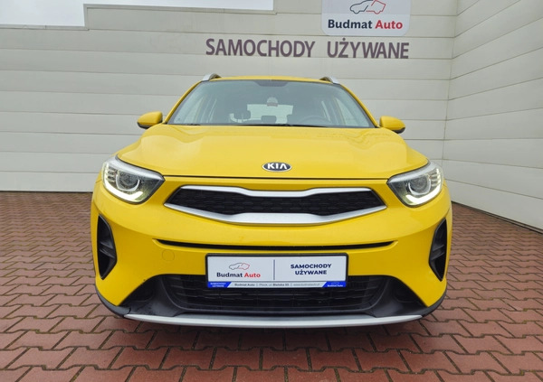 Kia Stonic cena 69900 przebieg: 55240, rok produkcji 2021 z Dzierzgoń małe 191